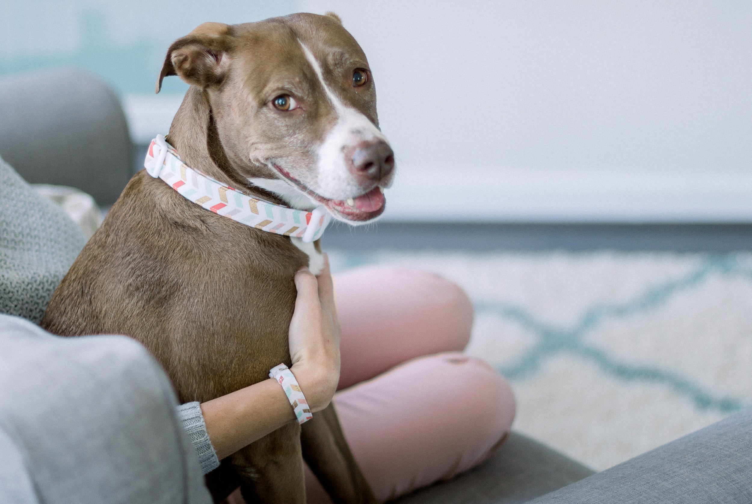 Matching collar outlet bracelet