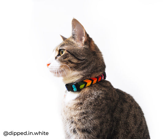 Rainbow Chevron Breakaway Cat Collar - Rainbow Cat Collar - Handmade by Kira's Pet Shop - Modeled by Cinna @dipped.in.white