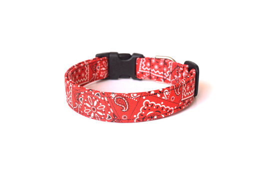 Red Bandana Print Paisley Dog Collar - Handmade by Kira's Pet Shop