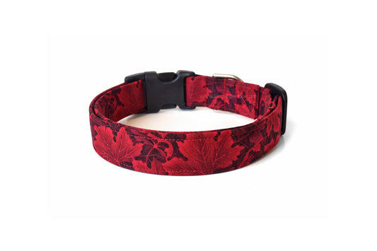 Red Maple Leaves Dog Collar - Handmade by Kira's Pet Shop